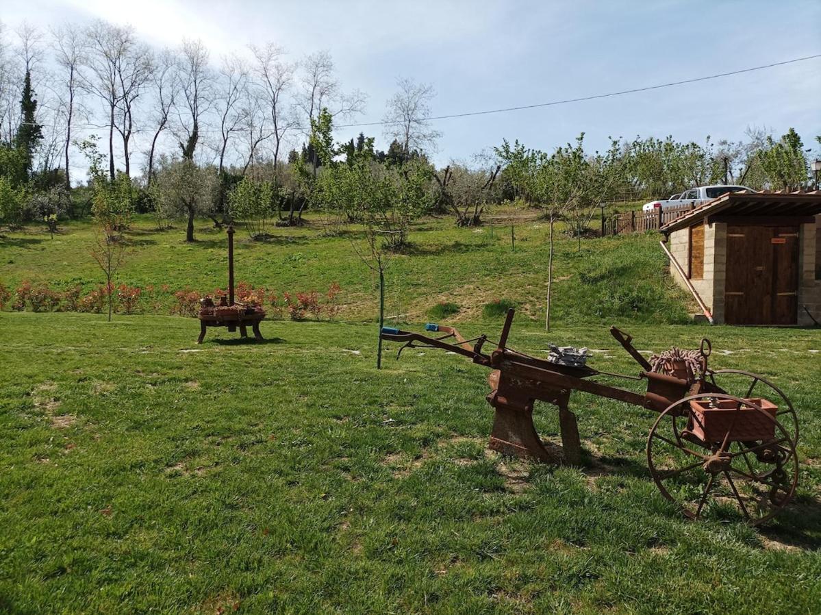 Agriturismo Il Bagnano Certaldo Eksteriør billede